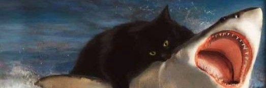 shchat98's profile banner image