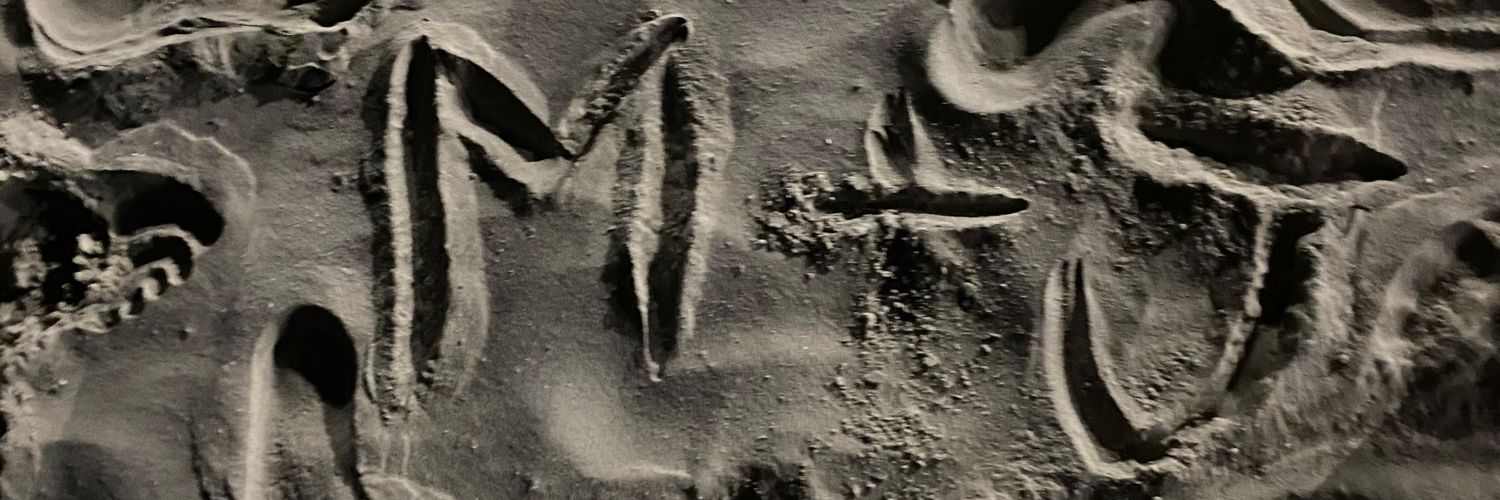 Masb107's profile banner image
