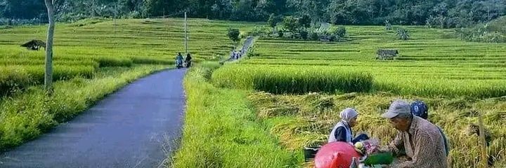 BintangKejora🌟⭐️🌠 banner