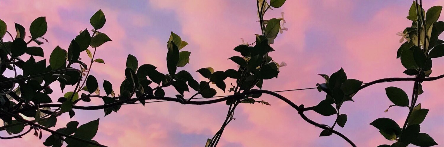 MoreSanchez_'s profile banner image