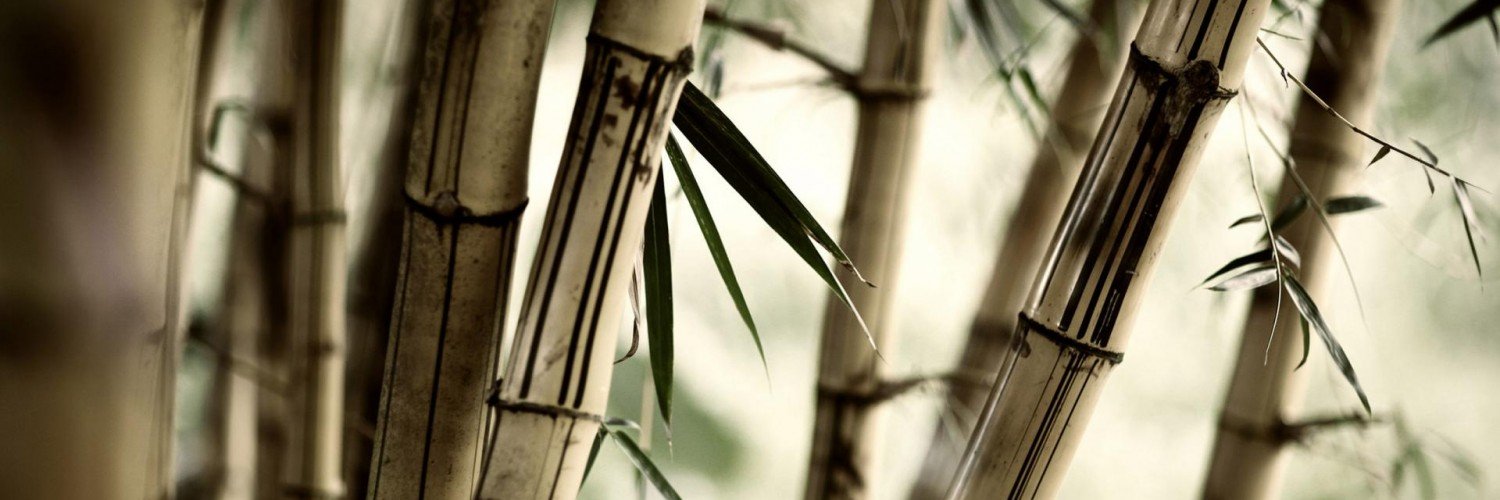 mplctly's profile banner image