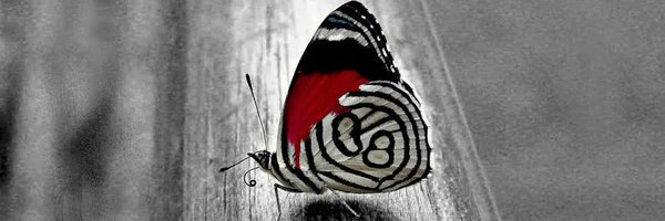iam_MrsN Profile Banner