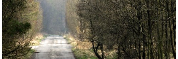 THodson59 Profile Banner