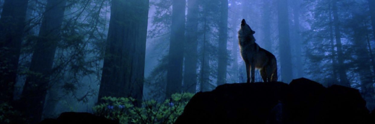 AlexG7196's profile banner image