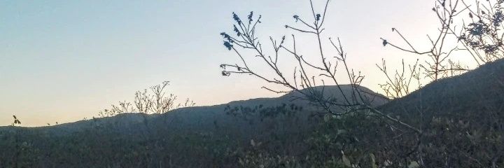 nunes freitas banner