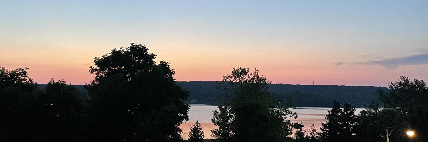 Vicky Harrison banner