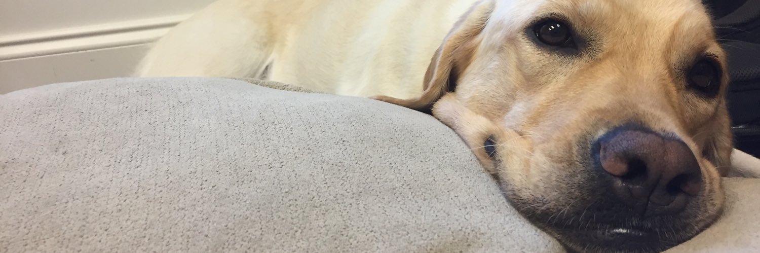 c_denise99's profile banner image