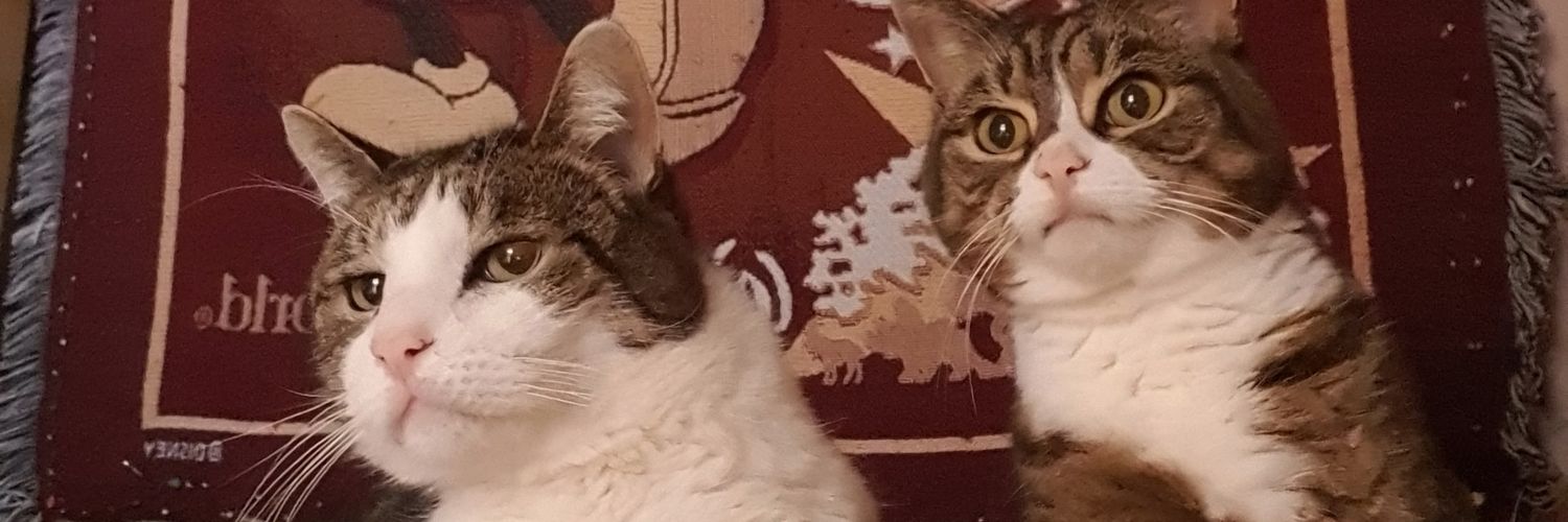 sharonRVN's profile banner image