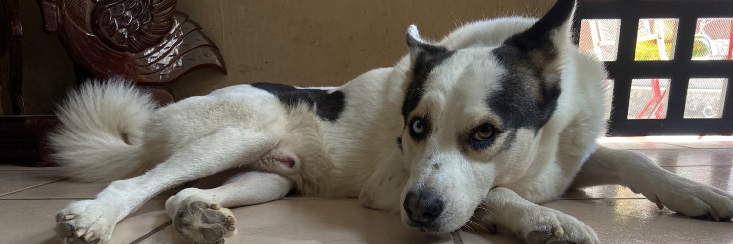 Osmar López  🛠 banner