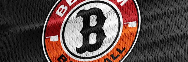 Bedlam_Baseball Profile Banner