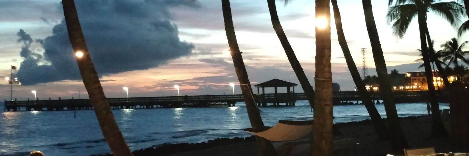silverliningluv's profile banner image
