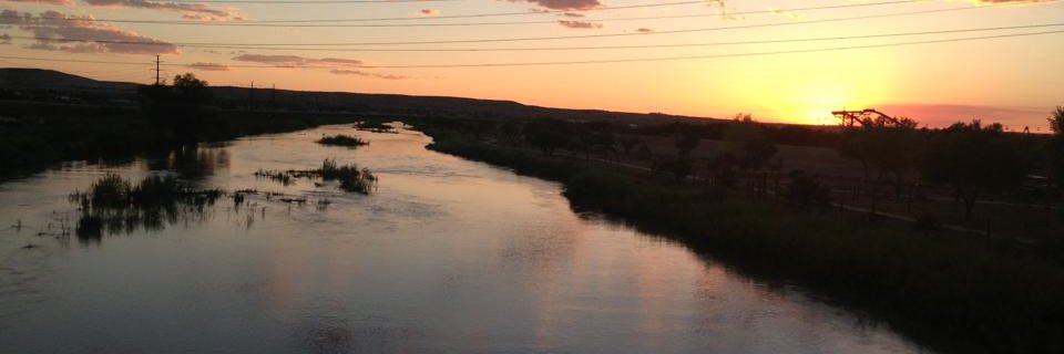 Angela Kocherga banner