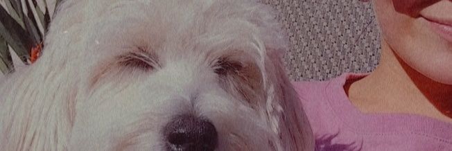 milesierra2's profile banner image