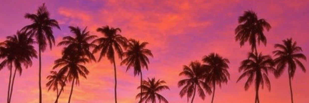 attorneyebony's profile banner image