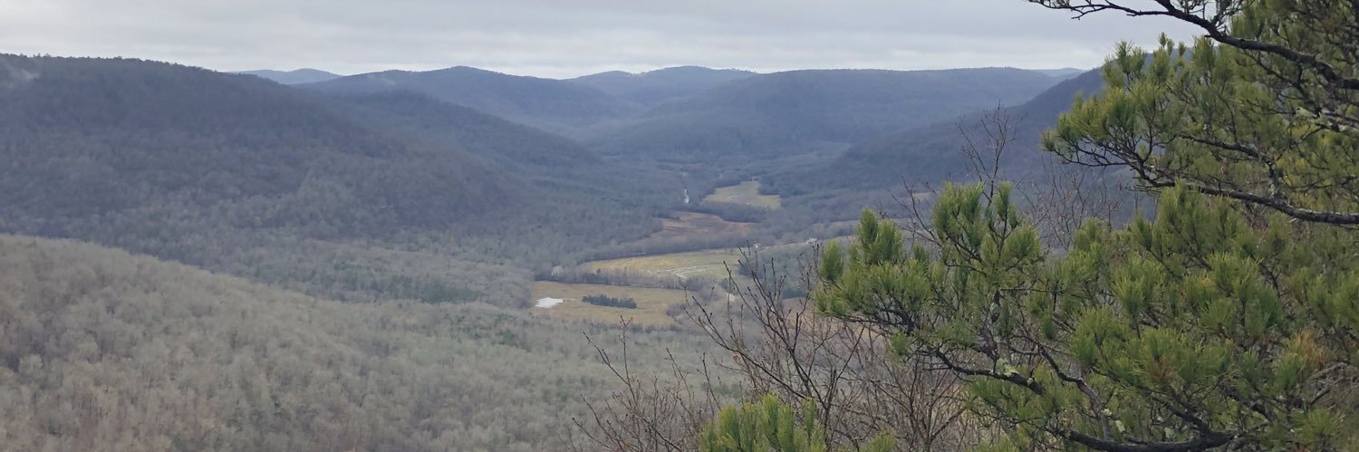 MarshallSweeden's profile banner image