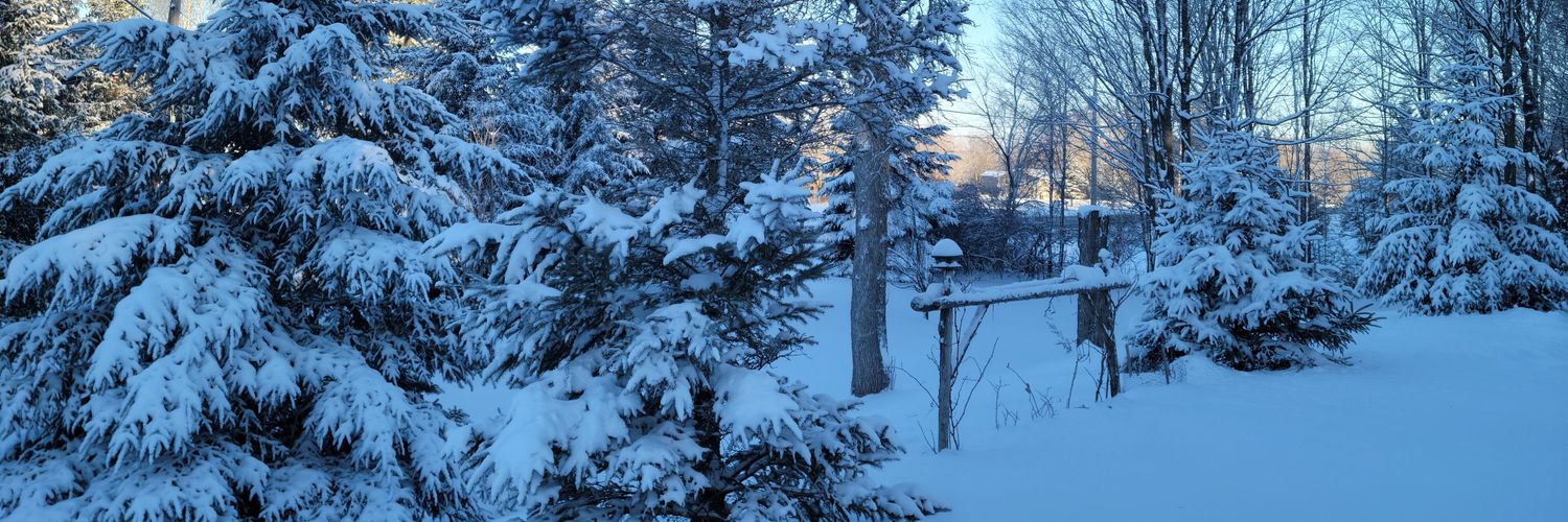 AndyBlizzard87's profile banner image