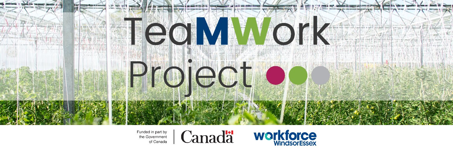 TeaMWork Project banner