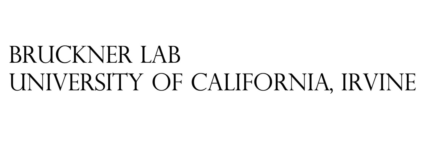 BrucknerLabUCI banner