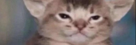 astromomo_'s profile banner image