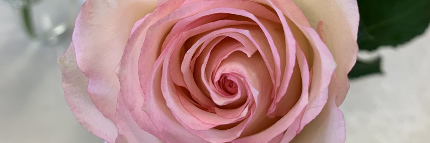 RosalYade's profile banner image