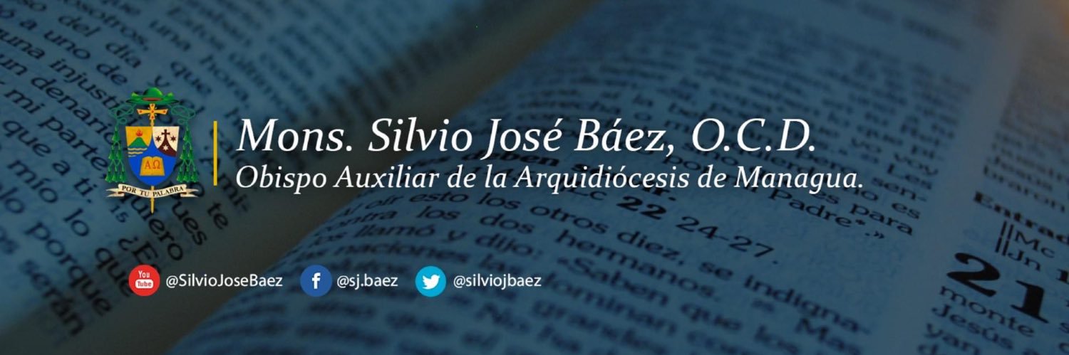 Silvio José Báez banner