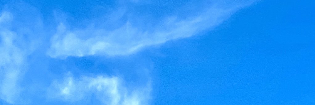 Thefreeswe's profile banner image
