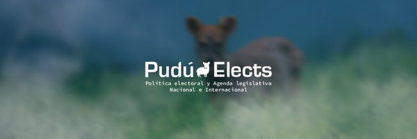 PuduElects Profile Banner