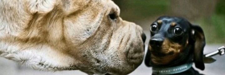 Maycon_7771🇧🇷 banner