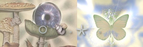swanphoria Profile Banner