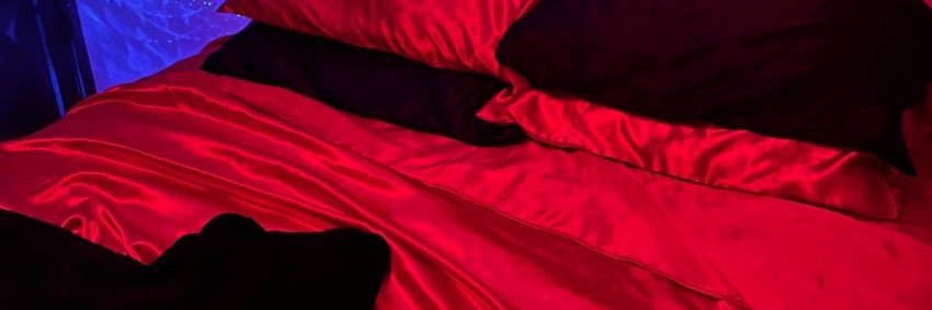 DomEswitcher's profile banner image