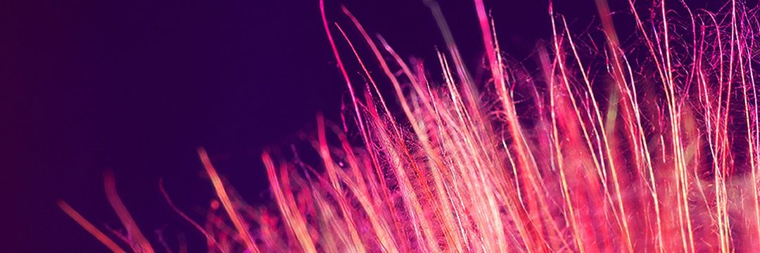 Chaloymar's profile banner image