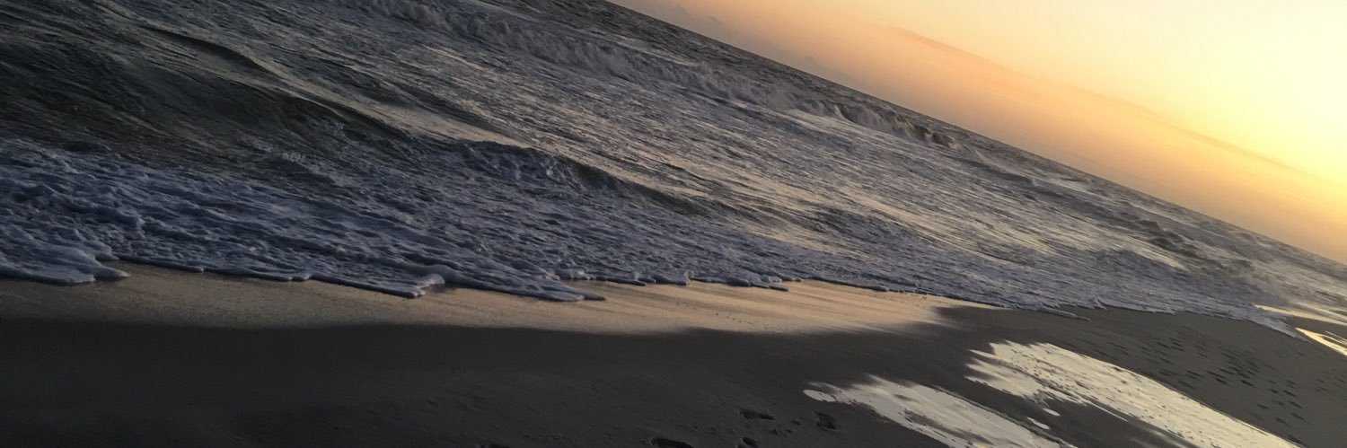 Boodrogirl's profile banner image