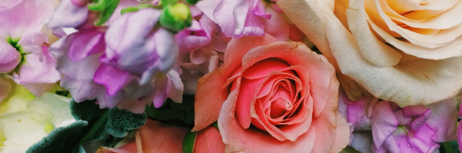 abbey_fowler's profile banner image