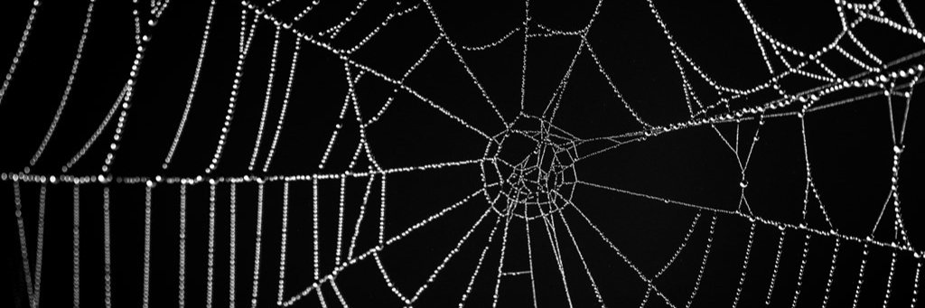 Crypt Walkers SOON ON APTOS!!! banner