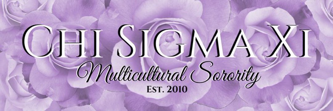 ChiSigmaXi's profile banner image