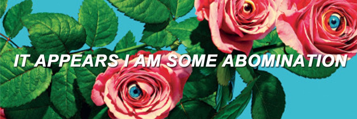 FibonacciSprkls's profile banner image