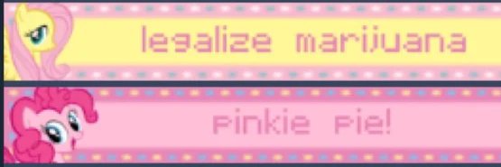 Zelda ~ Certified Jade Harley Clone banner