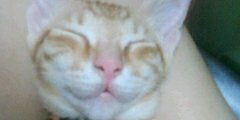 tammy2240's profile banner image
