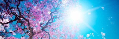 NarryTaehyung's profile banner image