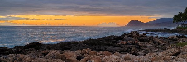 SakuraKinjo Profile Banner