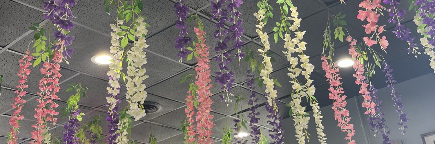 Candice Finley banner