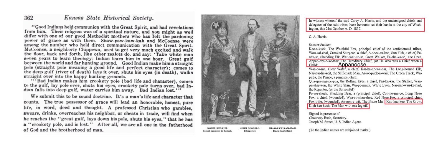 Black Sparrow Hawk 🦅 banner