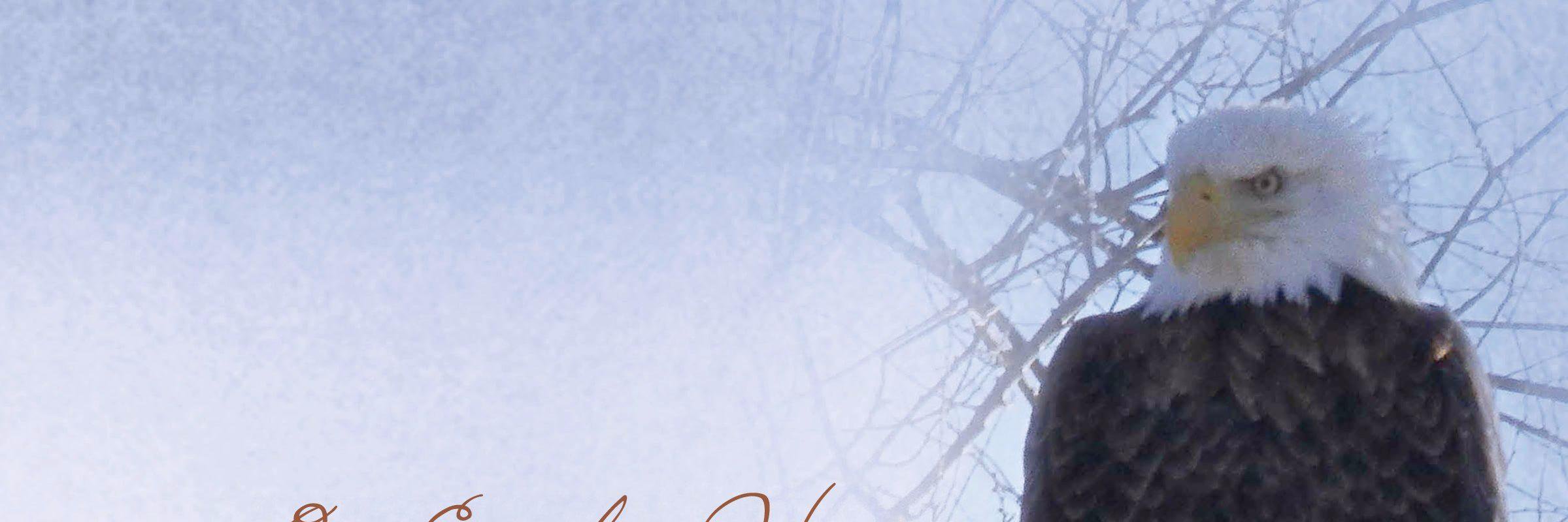 8StateKate's profile banner image
