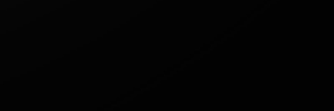 Berserker Dude banner