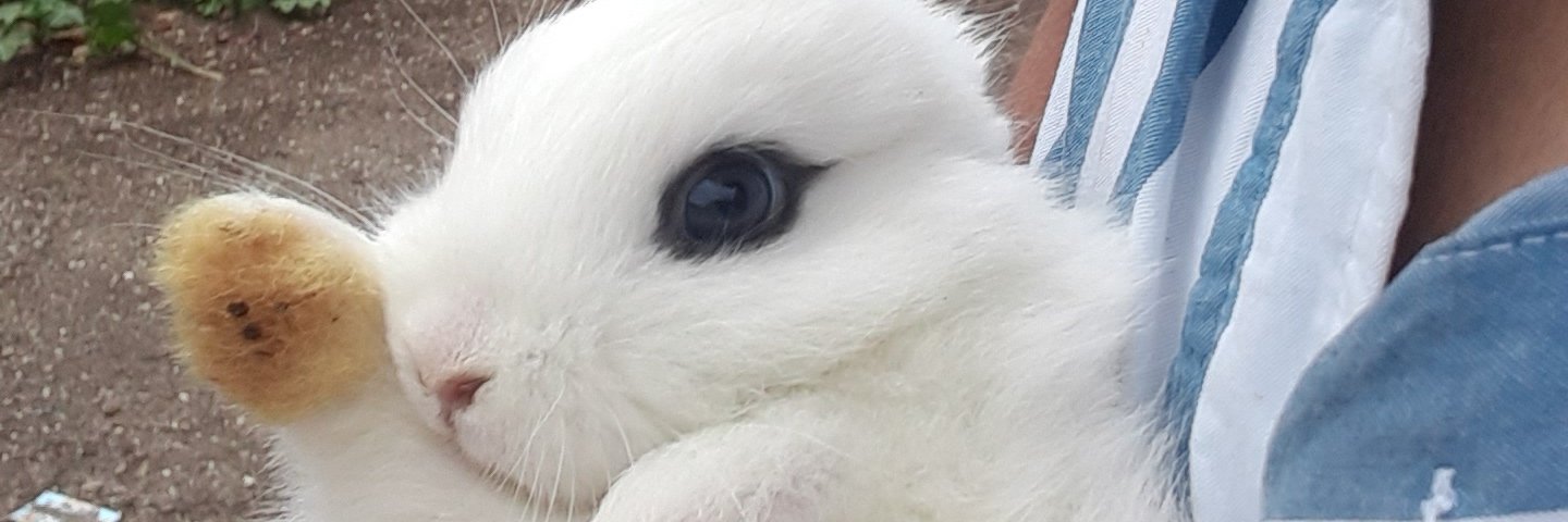 criscancax's profile banner image