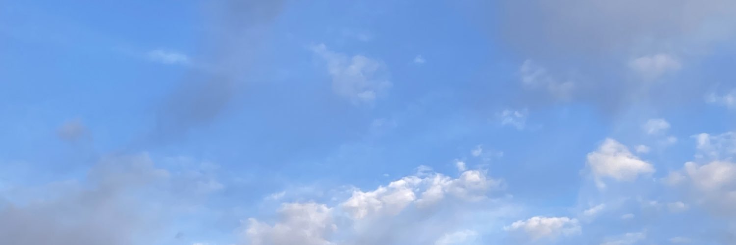 karynascoconut's profile banner image