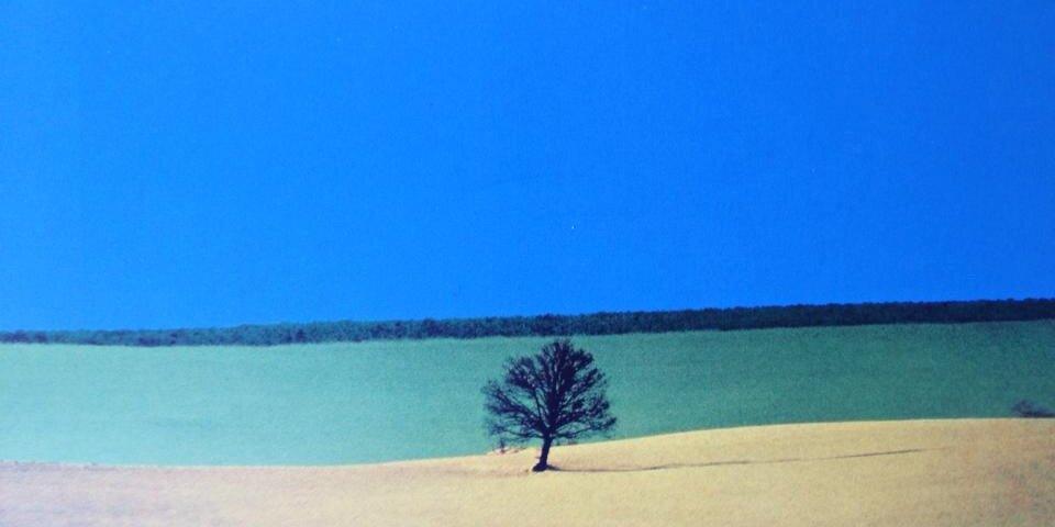 chiara faggiolani banner