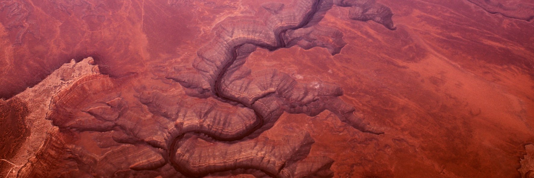 Fraser Lovatt banner