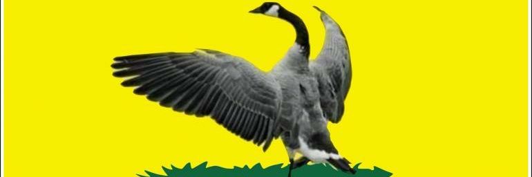 dorkosaur's profile banner image