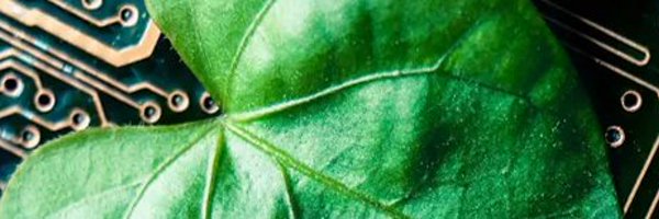 FAIRiCUBE Profile Banner